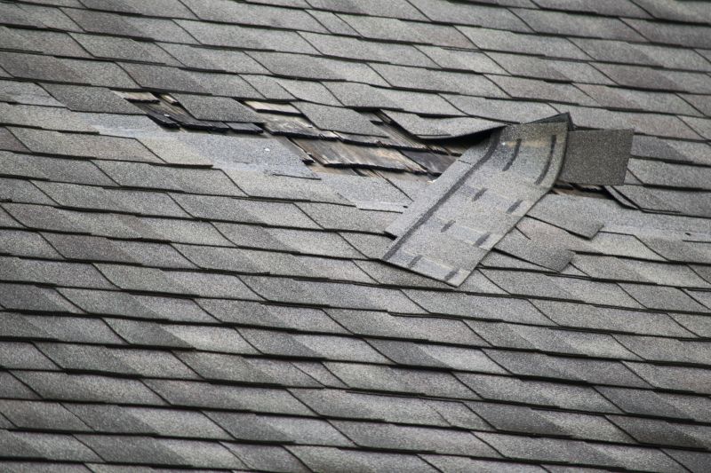 Storm Damage Repair Professionals